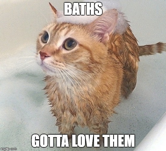 BATHS; GOTTA LOVE THEM | image tagged in cats,meme,kitty,bath,memes,funny memes | made w/ Imgflip meme maker