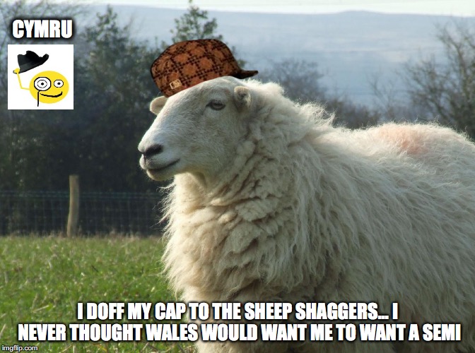 CYMRU; I DOFF MY CAP TO THE SHEEP SHAGGERS... I NEVER THOUGHT WALES WOULD WANT ME TO WANT A SEMI | made w/ Imgflip meme maker