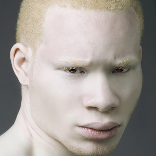 A3 (Albino African American) Blank Meme Template
