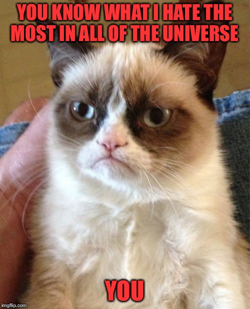 Grumpy Cat | YOU KNOW WHAT I HATE THE MOST IN ALL OF THE UNIVERSE; YOU | image tagged in memes,grumpy cat | made w/ Imgflip meme maker