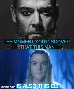 Manish/Elvish | THE MOMENT YOU DISCOVER THAT THIS MAN; IS ALSO THIS ELF | image tagged in celeborn,celeborn meme,celeborn lotr | made w/ Imgflip meme maker