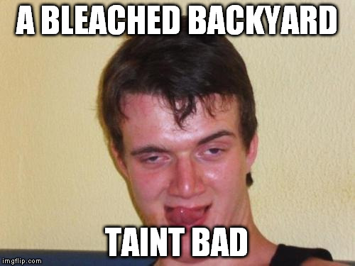 A BLEACHED BACKYARD TAINT BAD | made w/ Imgflip meme maker