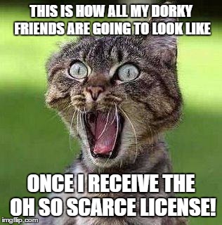 Shocked Cat | THIS IS HOW ALL MY DORKY FRIENDS ARE GOING TO LOOK LIKE; ONCE I RECEIVE THE OH SO SCARCE LICENSE! | image tagged in shocked cat | made w/ Imgflip meme maker