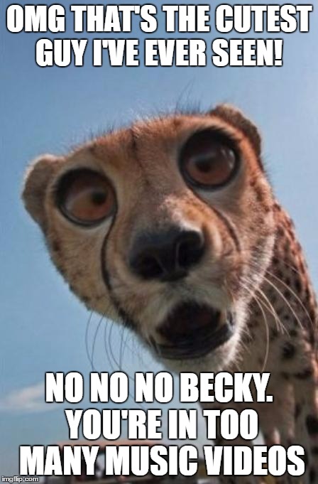 shocked cheetah | OMG THAT'S THE CUTEST GUY I'VE EVER SEEN! NO NO NO BECKY. YOU'RE IN TOO MANY MUSIC VIDEOS | image tagged in shocked cheetah | made w/ Imgflip meme maker