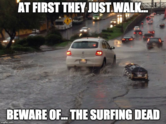 AT FIRST THEY JUST WALK... BEWARE OF... THE SURFING DEAD | image tagged in the surfing dead | made w/ Imgflip meme maker