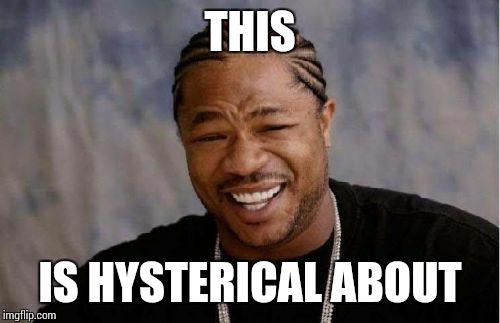 Yo Dawg Heard You Meme | THIS IS HYSTERICAL ABOUT | image tagged in memes,yo dawg heard you | made w/ Imgflip meme maker