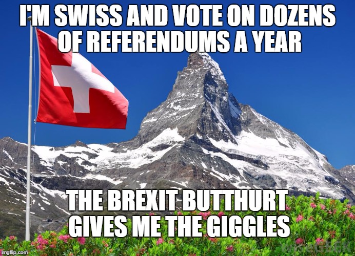 swiss | I'M SWISS AND VOTE ON DOZENS OF REFERENDUMS A YEAR; THE BREXIT BUTTHURT GIVES ME THE GIGGLES | image tagged in swiss | made w/ Imgflip meme maker