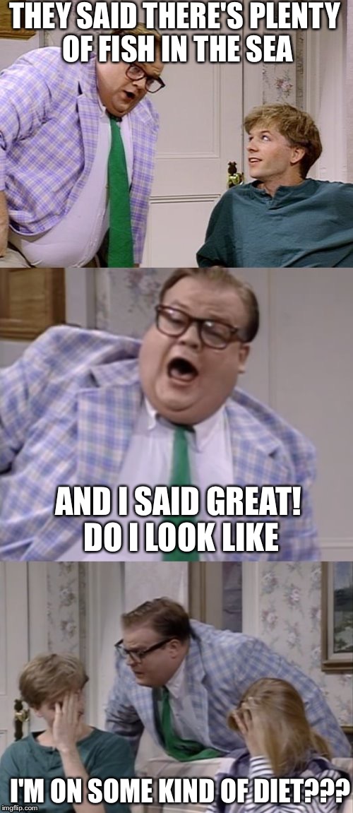bad pun matt 2 | THEY SAID THERE'S PLENTY OF FISH IN THE SEA; AND I SAID GREAT! DO I LOOK LIKE; I'M ON SOME KIND OF DIET??? | image tagged in bad pun matt 2,bad pun,memes,funny,chris farley,bad puns | made w/ Imgflip meme maker