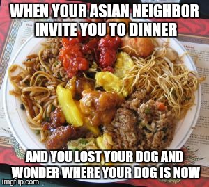 The meat tasted good,  but different  | WHEN YOUR ASIAN NEIGHBOR INVITE YOU TO DINNER; AND YOU LOST YOUR DOG AND WONDER WHERE YOUR DOG IS NOW | image tagged in chinese food | made w/ Imgflip meme maker