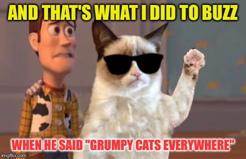Grumpy Cat Everywhere | AND THAT'S WHAT I DID TO BUZZ; WHEN HE SAID "GRUMPY CATS EVERYWHERE" | image tagged in grumpy cat everywhere,memes | made w/ Imgflip meme maker