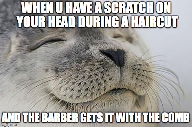 Satisfied Seal | WHEN U HAVE A SCRATCH ON YOUR HEAD DURING A HAIRCUT; AND THE BARBER GETS IT WITH THE COMB | image tagged in memes,satisfied seal | made w/ Imgflip meme maker