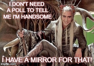 Mirror! Mirror! | I DON'T NEED A POLL TO TELL ME I'M HANDSOME; I HAVE A MIRROR FOR THAT! | image tagged in thranduil,thranduil meme,thranduil handsome,thranduil sexy,thranduil hot | made w/ Imgflip meme maker