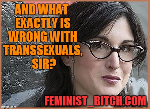 feminist Zeisler | AND WHAT EXACTLY IS WRONG WITH TRANSSEXUALS,  SIR? FEMINIST_B**CH.COM | image tagged in feminist zeisler | made w/ Imgflip meme maker