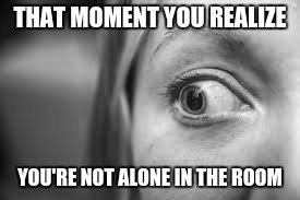 Horror movie fear | THAT MOMENT YOU REALIZE; YOU'RE NOT ALONE IN THE ROOM | image tagged in memes | made w/ Imgflip meme maker
