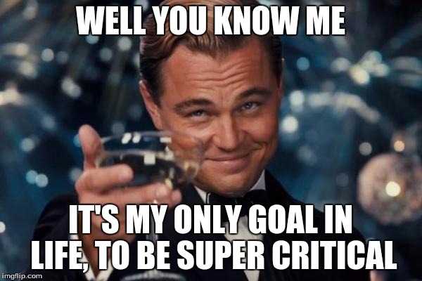 Leonardo Dicaprio Cheers Meme | WELL YOU KNOW ME IT'S MY ONLY GOAL IN LIFE, TO BE SUPER CRITICAL | image tagged in memes,leonardo dicaprio cheers | made w/ Imgflip meme maker