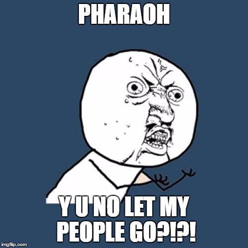 Y U No Meme | PHARAOH; Y U NO LET MY PEOPLE GO?!?! | image tagged in memes,y u no | made w/ Imgflip meme maker