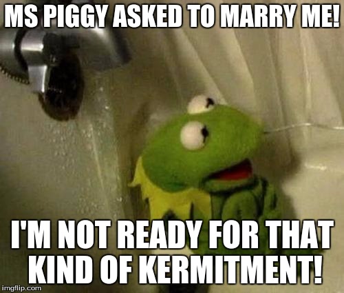 Finally got some businesses to deal with. | MS PIGGY ASKED TO MARRY ME! I'M NOT READY FOR THAT KIND OF KERMITMENT! | image tagged in kermit monday,shower,tag,funny memes,memes | made w/ Imgflip meme maker