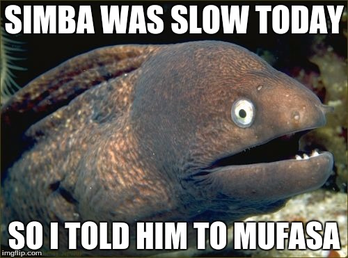 Bad Joke Eel Meme | SIMBA WAS SLOW TODAY; SO I TOLD HIM TO MUFASA | image tagged in memes,bad joke eel | made w/ Imgflip meme maker