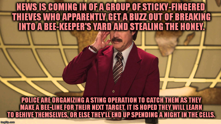 This Just In! | NEWS IS COMING IN OF A GROUP OF STICKY-FINGERED THIEVES WHO APPARENTLY GET A BUZZ OUT OF BREAKING INTO A BEE-KEEPER'S YARD AND STEALING THE HONEY. POLICE ARE ORGANIZING A STING OPERATION TO CATCH THEM AS THEY MAKE A BEE-LINE FOR THEIR NEXT TARGET. IT IS HOPED THEY WILL LEARN TO BEHIVE THEMSELVES, OR ELSE THEY'LL END UP SPENDING A NIGHT IN THE CELLS. | image tagged in this just in | made w/ Imgflip meme maker