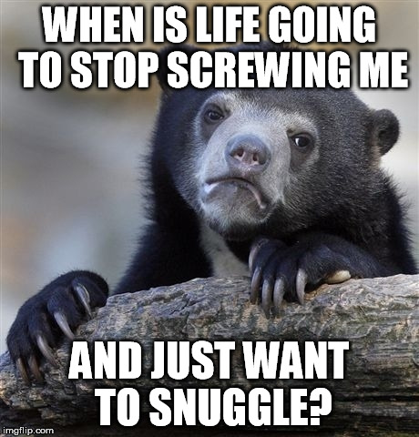 Confession Bear Meme | WHEN IS LIFE GOING TO STOP SCREWING ME; AND JUST WANT TO SNUGGLE? | image tagged in memes,confession bear | made w/ Imgflip meme maker