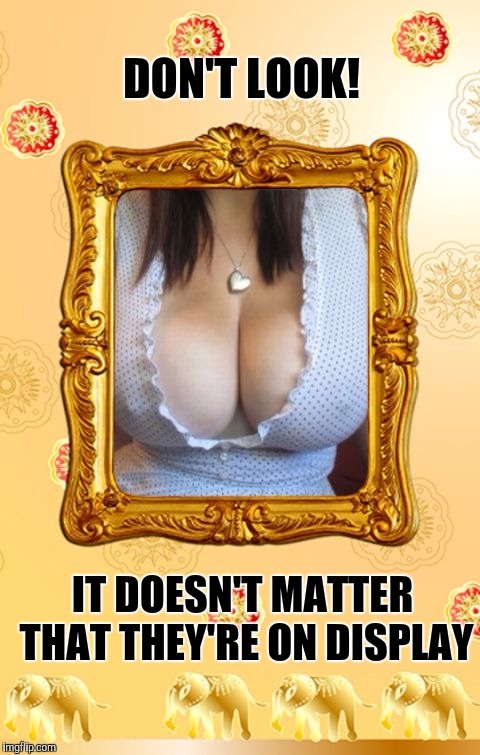 Boobs | DON'T LOOK! IT DOESN'T MATTER THAT THEY'RE ON DISPLAY | image tagged in boobs | made w/ Imgflip meme maker
