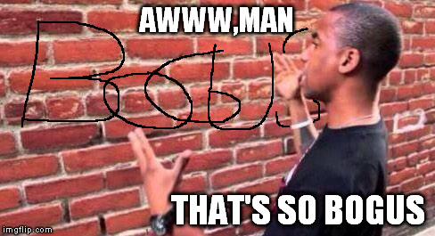Brick Wall | AWWW,MAN; THAT'S SO BOGUS | image tagged in brick wall | made w/ Imgflip meme maker