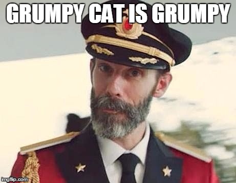 Captain Obvious | GRUMPY CAT IS GRUMPY | image tagged in captain obvious | made w/ Imgflip meme maker