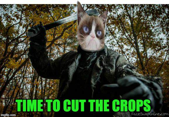 grumpy cat jason | TIME TO CUT THE CROPS | image tagged in grumpy cat jason | made w/ Imgflip meme maker