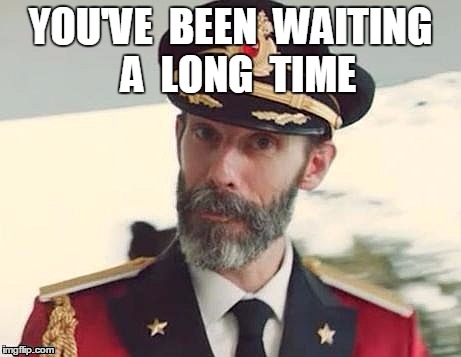 Captain Obvious | YOU'VE  BEEN  WAITING  A  LONG  TIME | image tagged in captain obvious | made w/ Imgflip meme maker