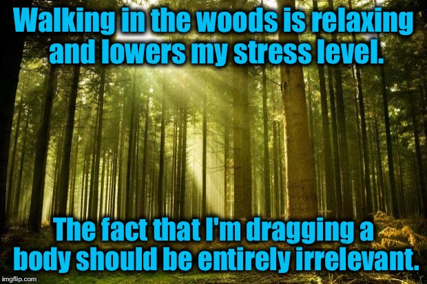 sunlit forest | Walking in the woods is relaxing and lowers my stress level. The fact that I'm dragging a body should be entirely irrelevant. | image tagged in sunlit forest,memes,funny,evilmandoevil | made w/ Imgflip meme maker