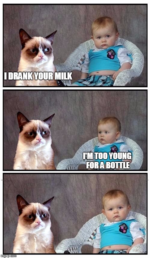 Dad Joke Cat | I DRANK YOUR MILK I'M TOO YOUNG FOR A BOTTLE | image tagged in dad joke cat | made w/ Imgflip meme maker