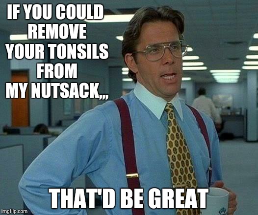 That Would Be Great Meme | IF YOU COULD REMOVE YOUR TONSILS FROM MY NUTSACK,,, THAT'D BE GREAT | image tagged in memes,that would be great | made w/ Imgflip meme maker