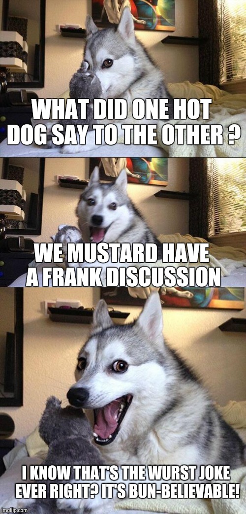 Bad Pun Dog Meme | WHAT DID ONE HOT DOG SAY TO THE OTHER ? WE MUSTARD HAVE  A FRANK DISCUSSION; I KNOW THAT'S THE WURST JOKE EVER RIGHT? IT'S BUN-BELIEVABLE! | image tagged in memes,bad pun dog | made w/ Imgflip meme maker