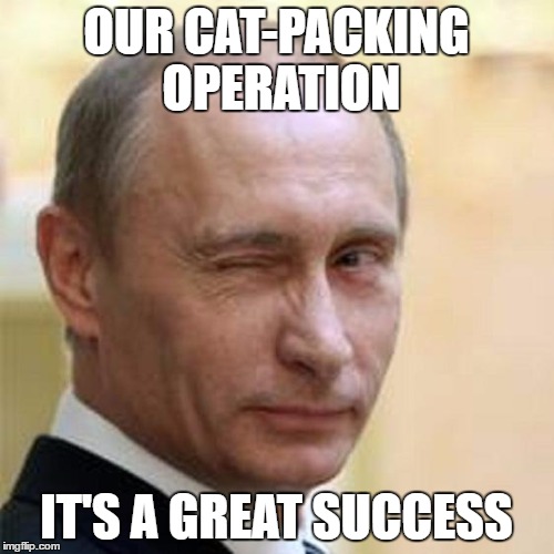 Putin Wink | OUR CAT-PACKING OPERATION IT'S A GREAT SUCCESS | image tagged in putin wink | made w/ Imgflip meme maker