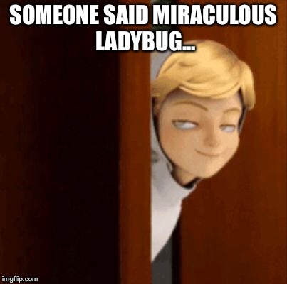 I just realised that most of the Miraculous Ladybug memes on here are made by me and my friend, so I thought 'LET'S MAKE MORE!' | SOMEONE SAID MIRACULOUS LADYBUG... | image tagged in miraculous ladybug,fandom | made w/ Imgflip meme maker