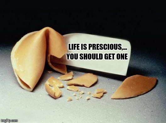 Unfortunate cookie | LIFE IS PRESCIOUS,... YOU SHOULD GET ONE | image tagged in fortune cookie,sewmyeyesshut,funny memes,unfortunate cookie | made w/ Imgflip meme maker