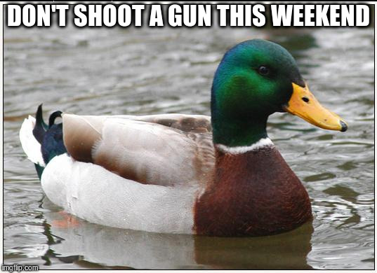 Actual Advice Mallard | DON'T SHOOT A GUN THIS WEEKEND | image tagged in memes,actual advice mallard | made w/ Imgflip meme maker