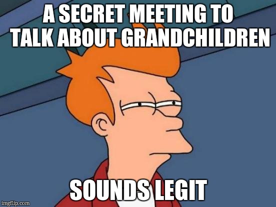 Futurama Fry | A SECRET MEETING TO TALK ABOUT GRANDCHILDREN; SOUNDS LEGIT | image tagged in memes,futurama fry | made w/ Imgflip meme maker