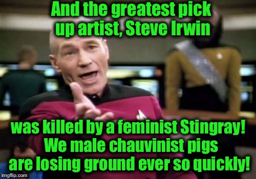 Picard Wtf Meme | And the greatest pick up artist, Steve Irwin was killed by a feminist Stingray!  We male chauvinist pigs are losing ground ever so quickly! | image tagged in memes,picard wtf | made w/ Imgflip meme maker