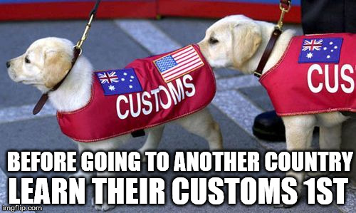 Travel Tip | LEARN THEIR CUSTOMS 1ST; BEFORE GOING TO ANOTHER COUNTRY | image tagged in funny memes,dogs,funny animals | made w/ Imgflip meme maker