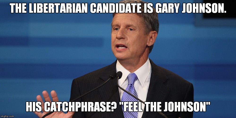 Seems legit! | THE LIBERTARIAN CANDIDATE IS GARY JOHNSON. HIS CATCHPHRASE? "FEEL THE JOHNSON" | image tagged in gary johnson | made w/ Imgflip meme maker
