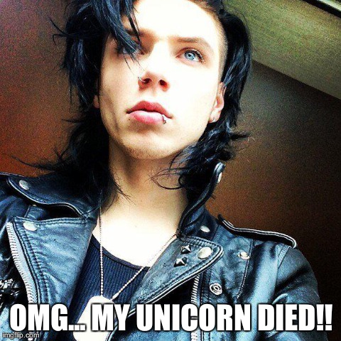 OMG... MY UNICORN DIED!! | image tagged in unicorn | made w/ Imgflip meme maker