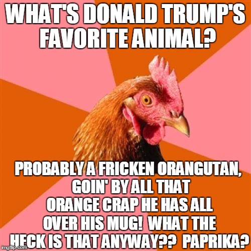 Anti Joke Chicken Meme | WHAT'S DONALD TRUMP'S FAVORITE ANIMAL? PROBABLY A FRICKEN ORANGUTAN,  GOIN' BY ALL THAT ORANGE CRAP HE HAS ALL OVER HIS MUG!  WHAT THE HECK IS THAT ANYWAY??  PAPRIKA? | image tagged in memes,anti joke chicken | made w/ Imgflip meme maker