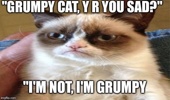 He's grumpy  | "GRUMPY CAT, Y R YOU SAD?"; "I'M NOT, I'M GRUMPY | image tagged in grumpy cat | made w/ Imgflip meme maker