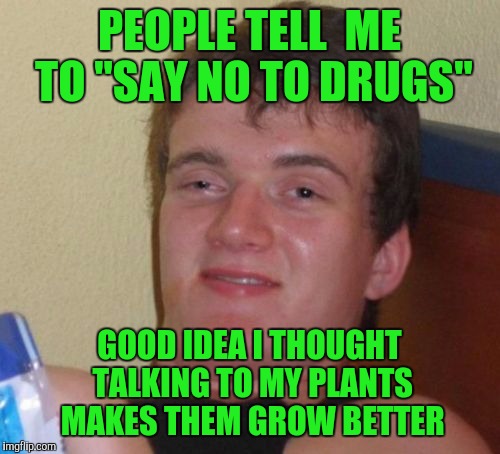 10 Guy Meme | PEOPLE TELL  ME TO "SAY NO TO DRUGS"; GOOD IDEA I THOUGHT TALKING TO MY PLANTS MAKES THEM GROW BETTER | image tagged in memes,10 guy | made w/ Imgflip meme maker