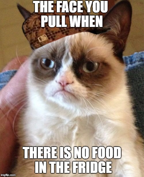 Grumpy Cat Meme | THE FACE YOU PULL WHEN; THERE IS NO FOOD IN THE FRIDGE | image tagged in memes,grumpy cat,scumbag | made w/ Imgflip meme maker