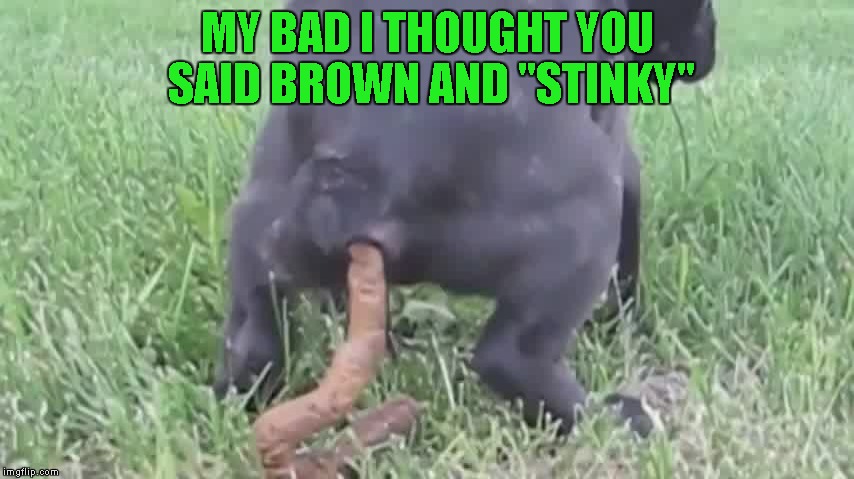 MY BAD I THOUGHT YOU SAID BROWN AND "STINKY" | made w/ Imgflip meme maker
