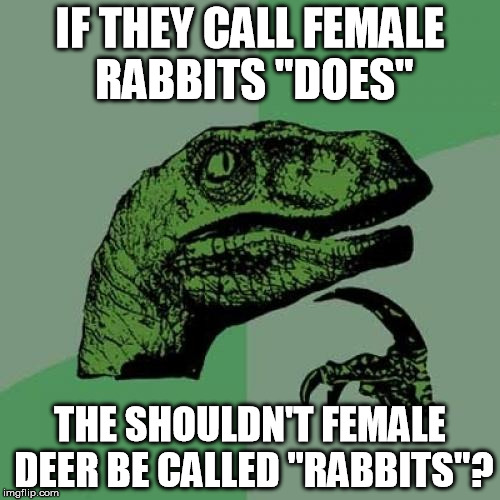 Philosoraptor Meme |  IF THEY CALL FEMALE RABBITS "DOES"; THE SHOULDN'T FEMALE DEER BE CALLED "RABBITS"? | image tagged in memes,philosoraptor | made w/ Imgflip meme maker