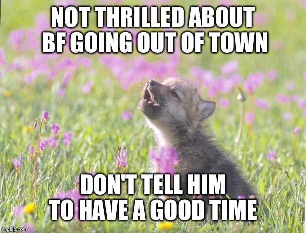 Baby Insanity Wolf | NOT THRILLED ABOUT BF GOING OUT OF TOWN; DON'T TELL HIM TO HAVE A GOOD TIME | image tagged in memes,baby insanity wolf,AdviceAnimals | made w/ Imgflip meme maker