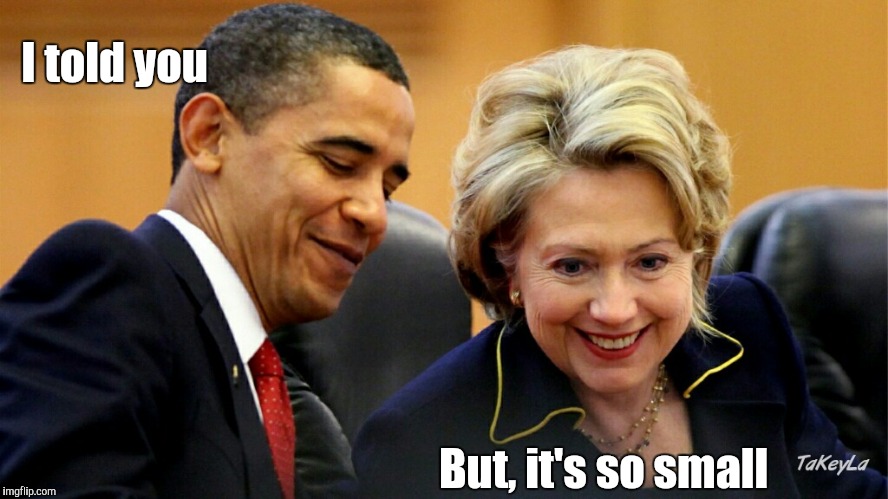 I told you; But, it's so small | image tagged in hillary clinton 2016 | made w/ Imgflip meme maker